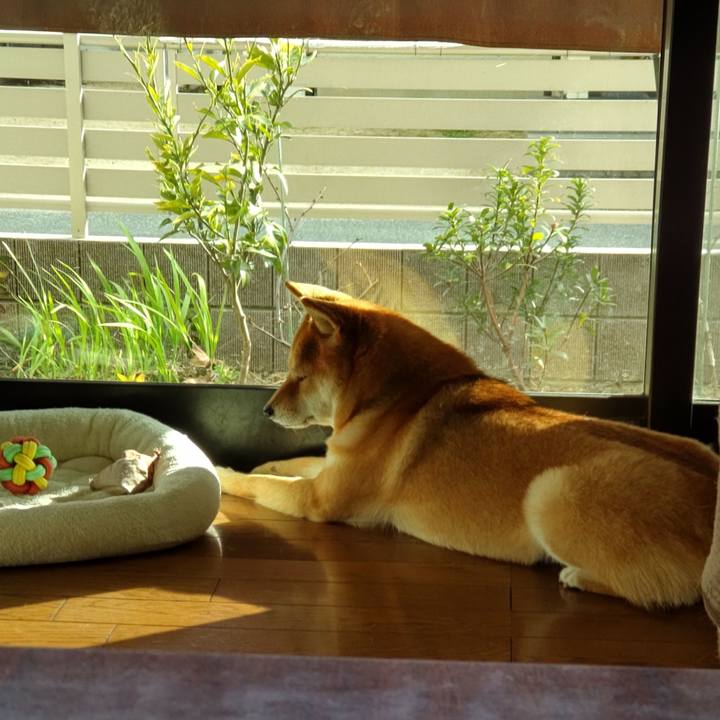 A39eed5f a706 4a72 bf9c 6f1cd6809377 1644042447040