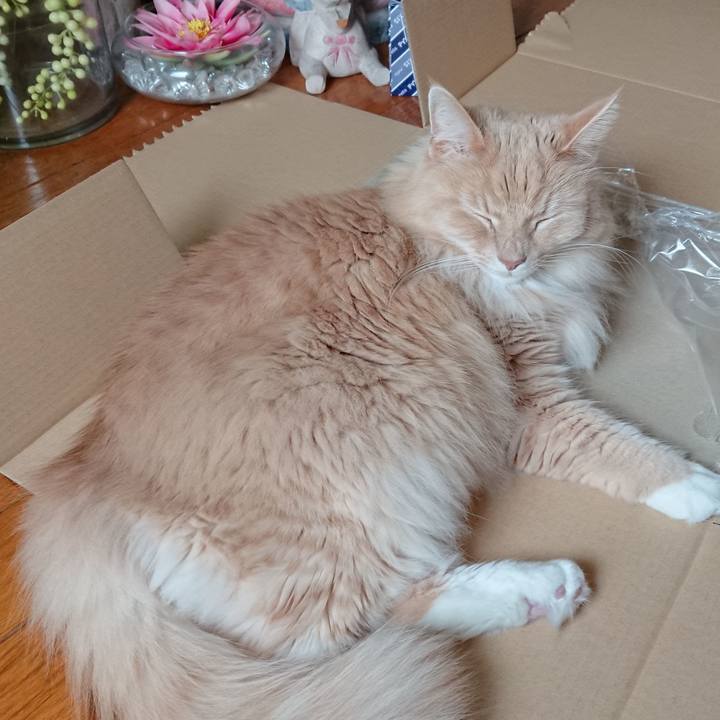 A39f2286 567a 4288 b117 87f32ab75632 1522992347385