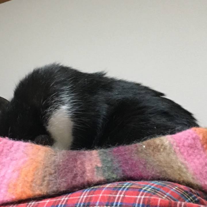 A39f22ad 4025 4db8 ae1f 1d4f9b56c8ad 1530869182338