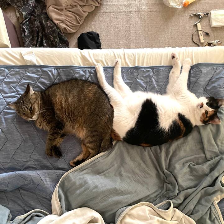 A39f39d0 7a07 478e bcf5 8332e89a248b 1765079783389