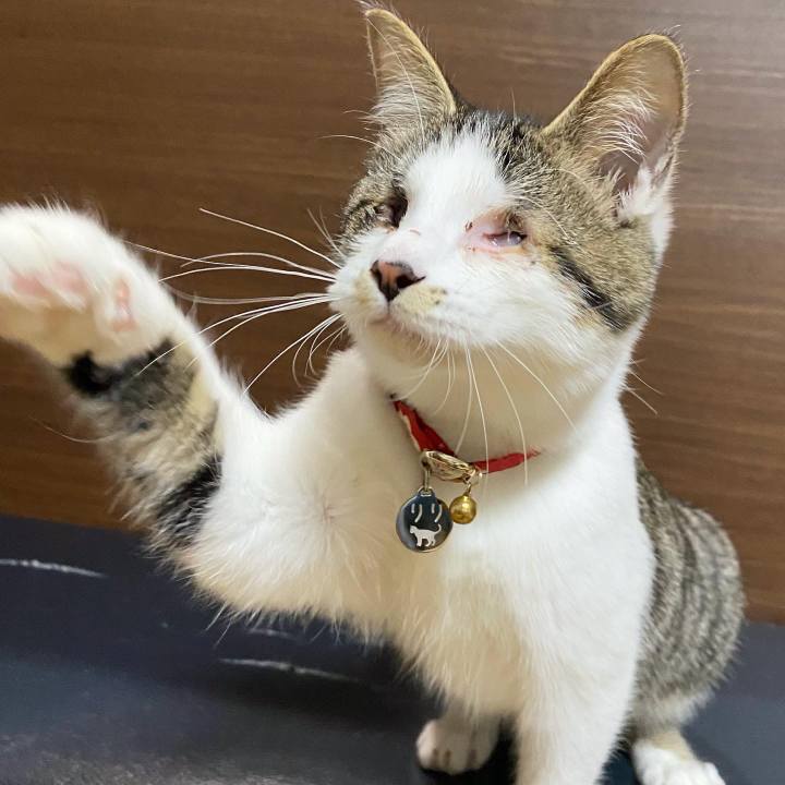 A39f72b8 06bb 471b 8970 d0dc70c37b94 1670481382149