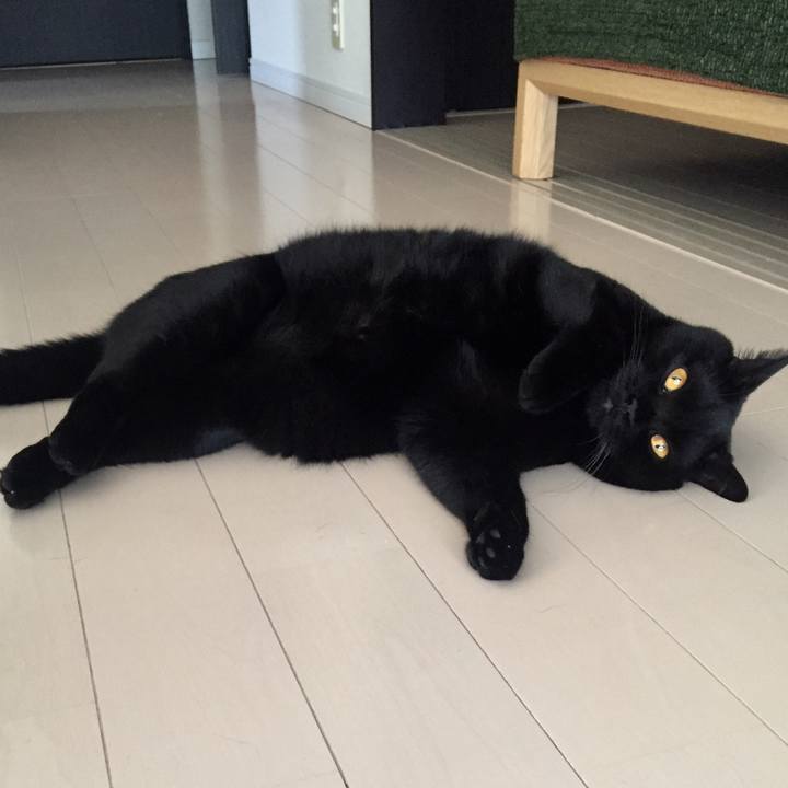 A39ff2a1 89b9 45c7 9e26 b64b8e46f719 1535963503296