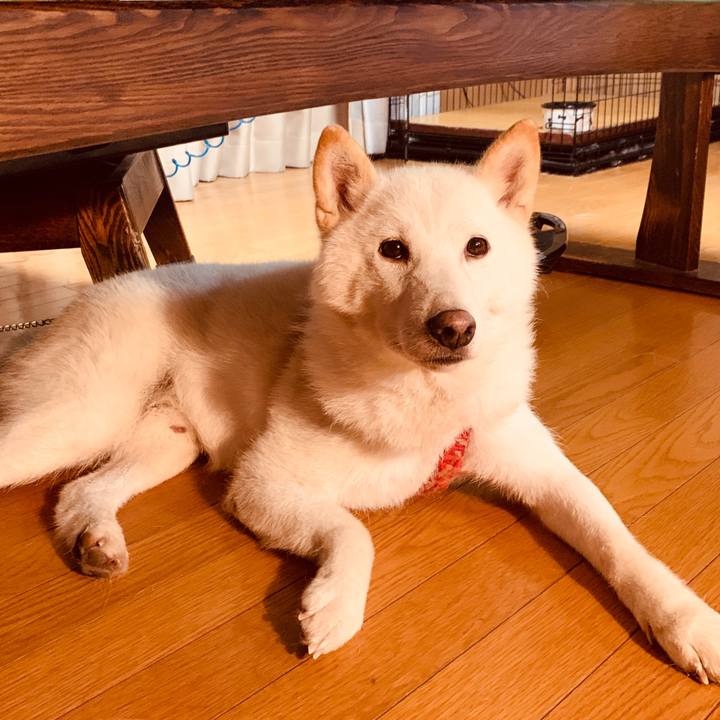 A3a0369f 8f0a 481f 8696 b57dcf0400fb 1563223255366