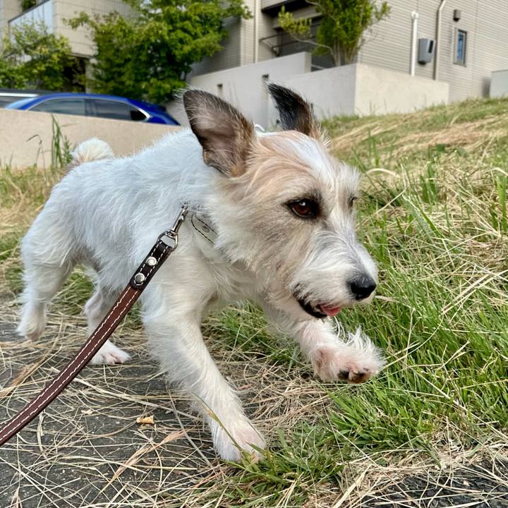 A3a03c21 95e4 43ee b506 237931db20d8 1759583009416