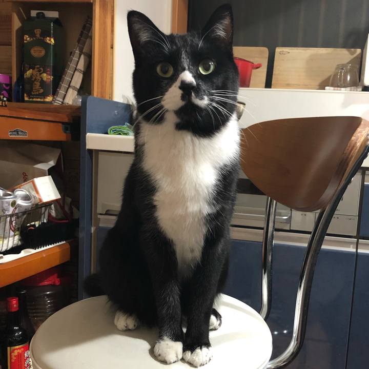 A3a0406c 2f1f 4330 b229 6e647da30544 1548992903778