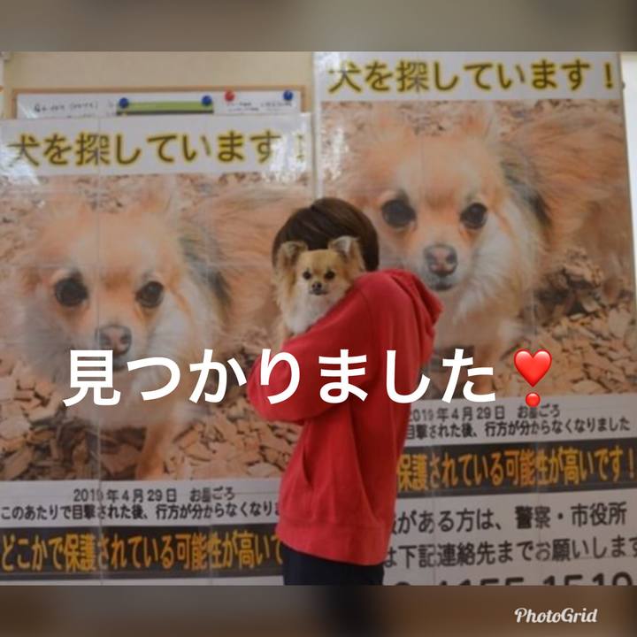 A3a05bf8 6e7d 44e7 995e 38e08ab9ebb3 1556807280130