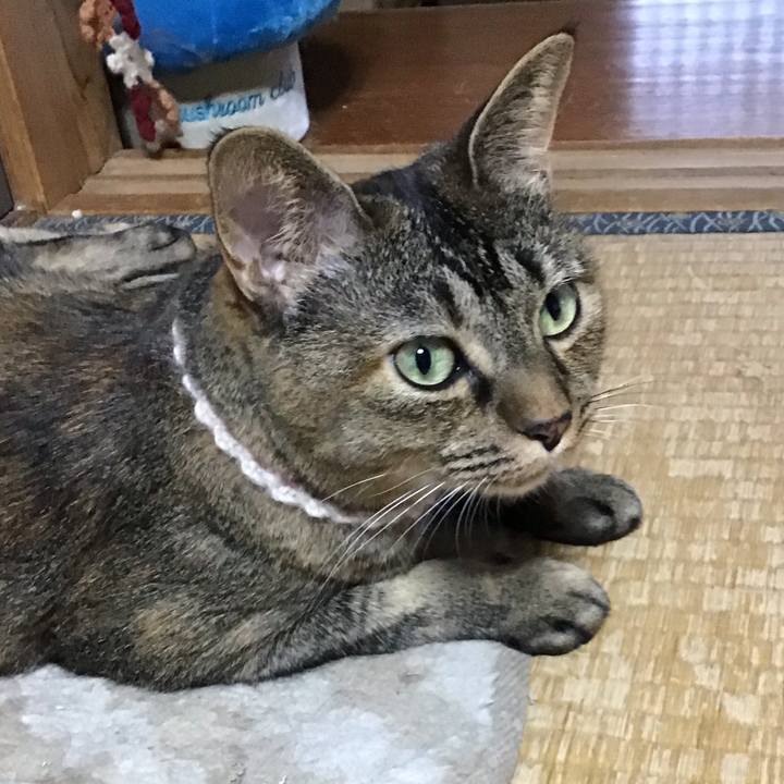 A3a09be8 734c 4228 a9e3 25b8d524114f 1662549464078