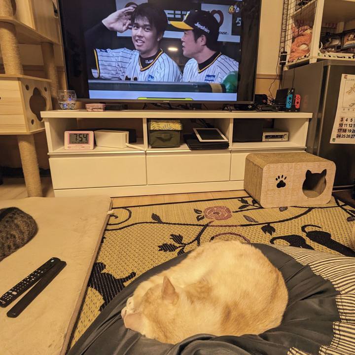 A3a09dd0 a859 4938 b320 72e0d97cf79d 1694689059337