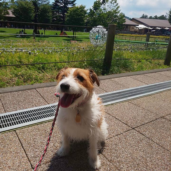 A3a0c584 4378 4dff 9831 c50880479cd0 1626926374472