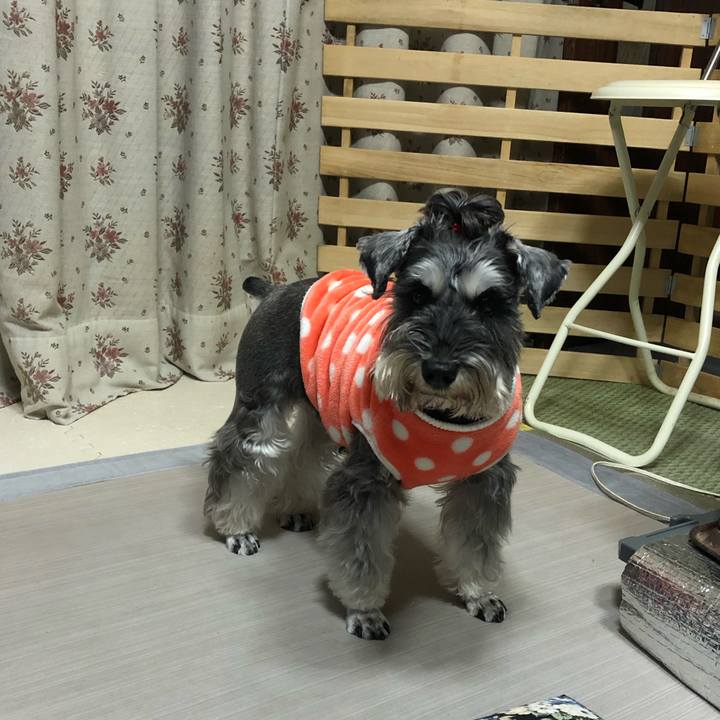 A3a0c5ef d7e1 4aa6 b405 ff8907029425 1607828732493