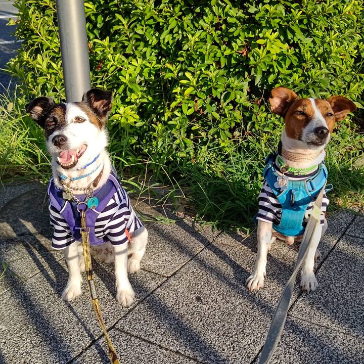 A3a0d7df adf1 4b22 a570 ae3061362e21 1658957009138