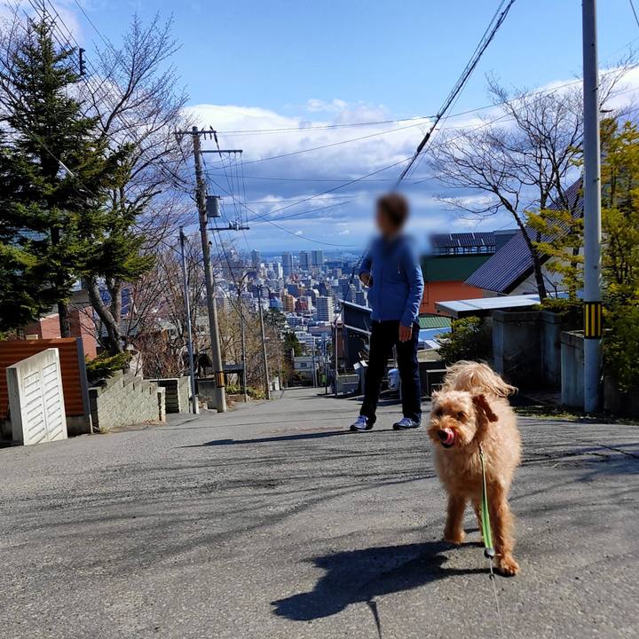 A3a13fac a3ae 4f5d 984d 4aa54c75f046 1587434203137