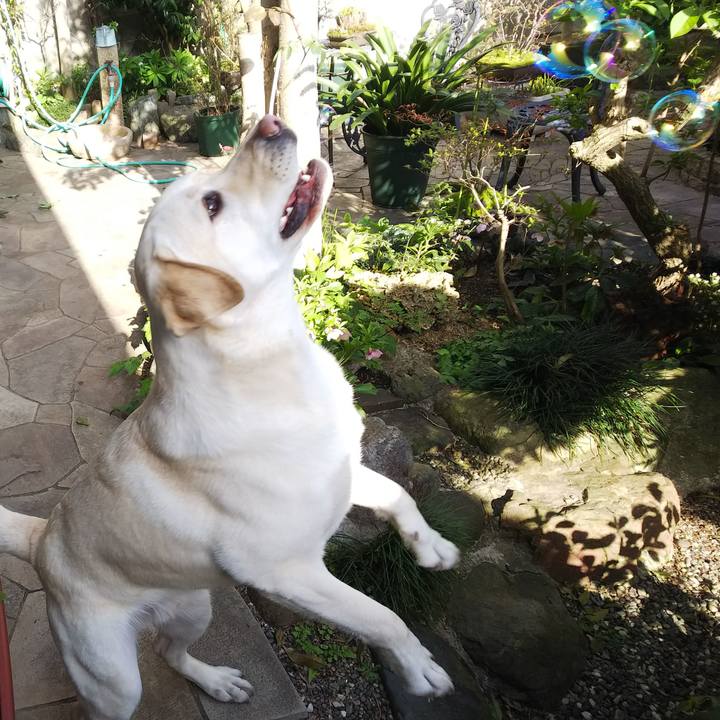 A3a141db 1904 426e 987b f58b106c8b8e 1522487649719