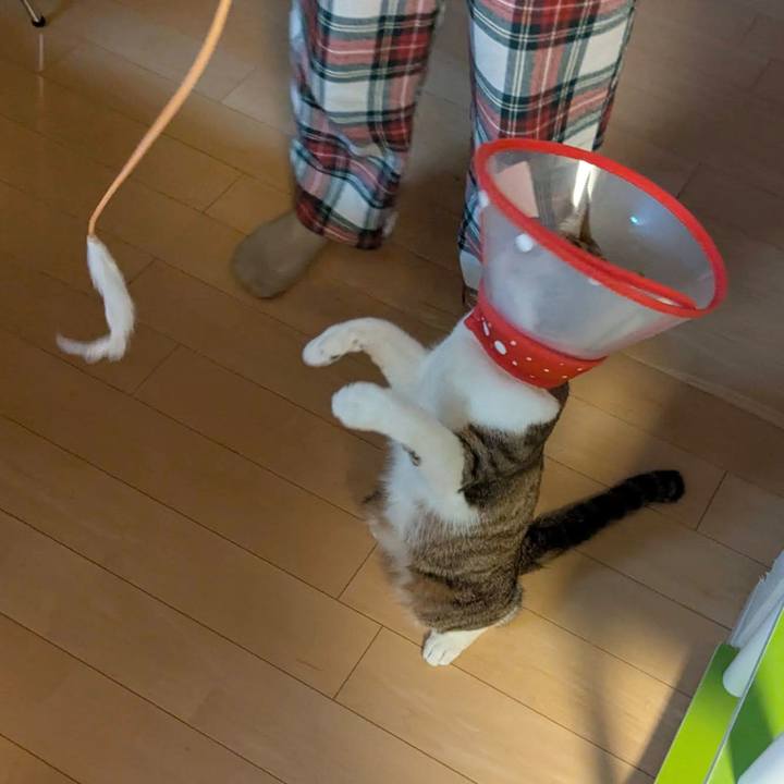 A3a14dc2 d065 4364 ab69 3375ac0a2501 1766915948518