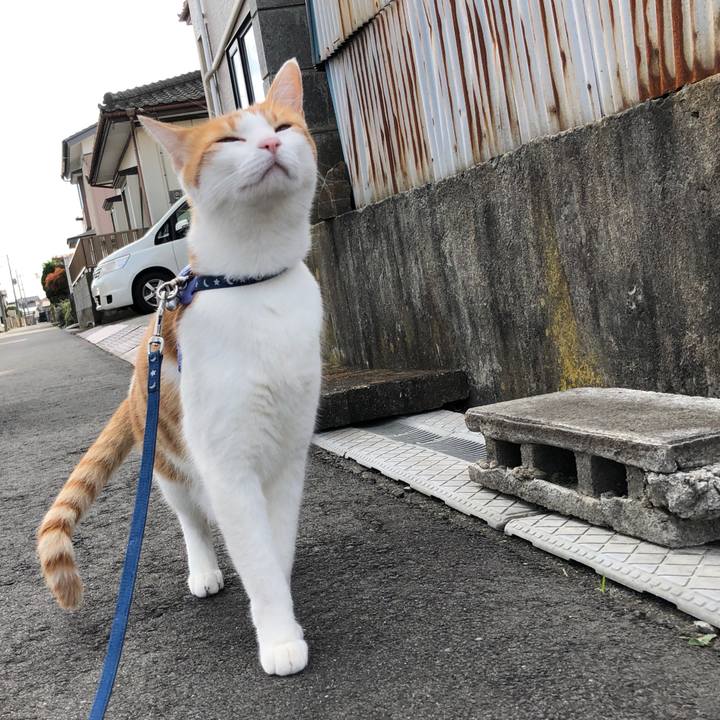 A3a15f52 d1f2 4b03 abf4 60979477efbe 1541568565088