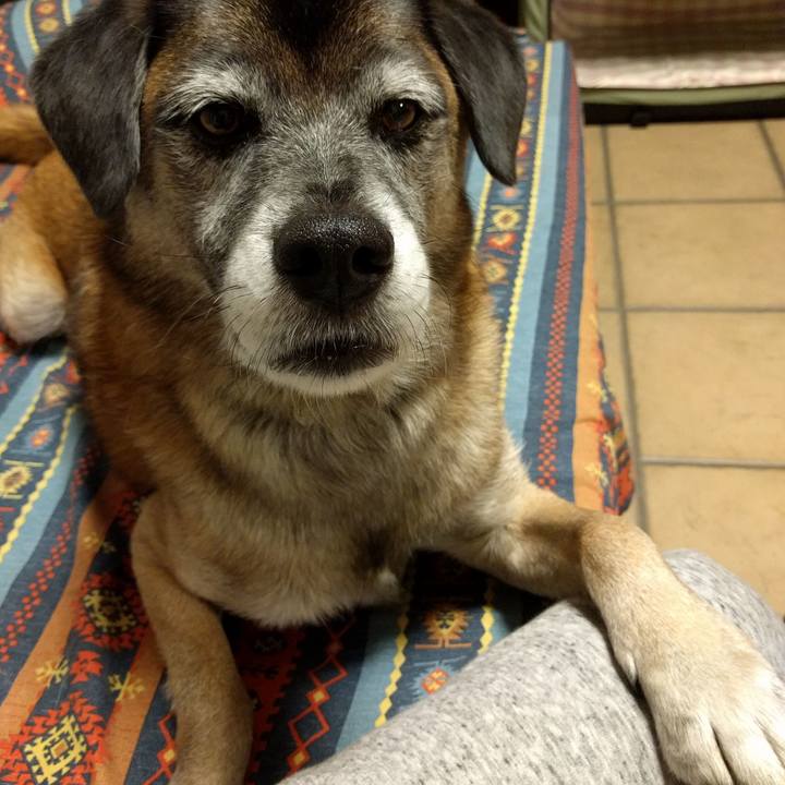 A3a1ab1e c4a9 4b5e b754 28f6cc50b19f 1699924259692