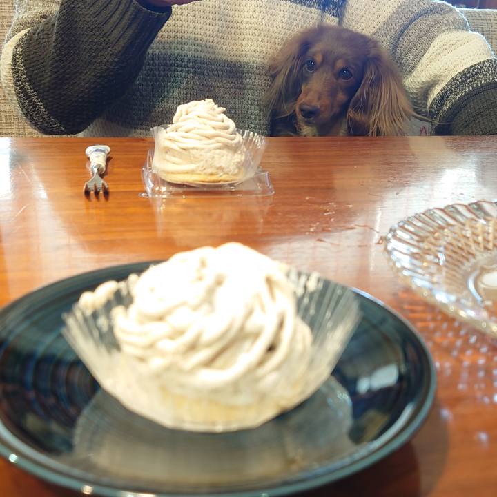 A3a1bca8 6f28 4dbb 8e68 3616a514e5f4 1677331363165