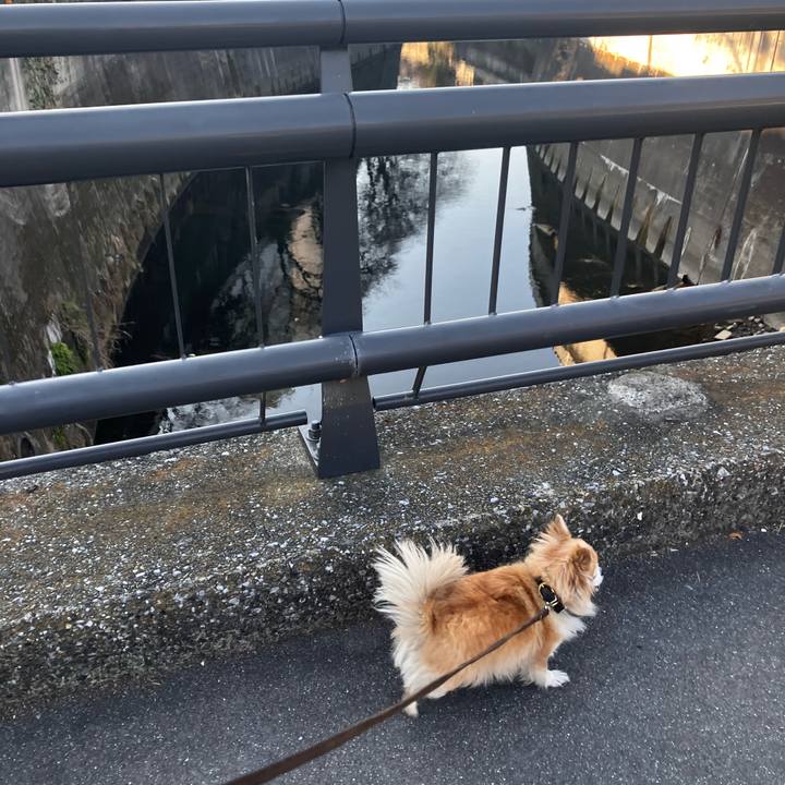 A3a1cdd4 3ea9 4ce1 ba68 8fff1b88685b 1771700484658