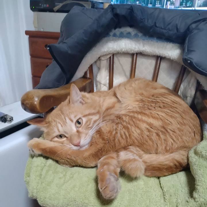 A3a1db10 2a32 4352 b242 086bb289ee96 1678321721571