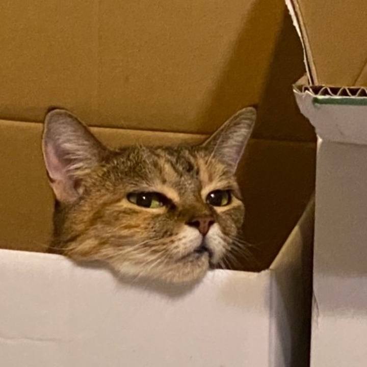 A3a23029 ed52 43e7 9a03 74240d70bb2c 1633170745429