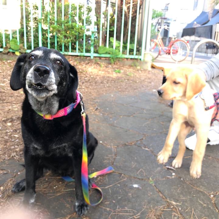 A3a27143 fe01 4341 99b9 19602f99a55b 1713097641975