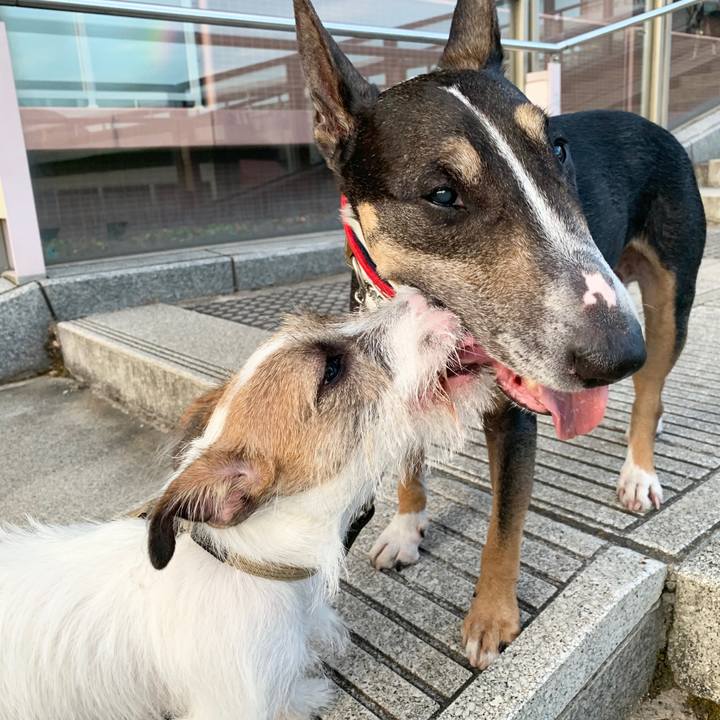 A3a2ab4e 59ef 4b04 abd0 810cf5e25034 1565658959054