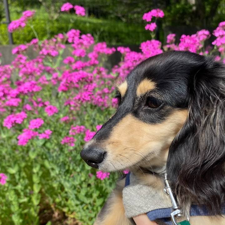 A3a30292 368e 4e11 9bb9 b3180eaff581 1685245341342