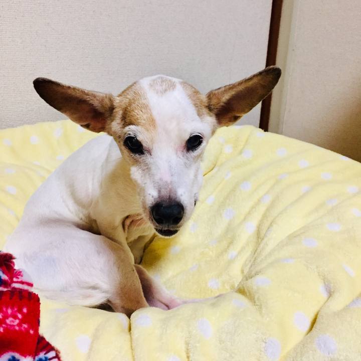 A3a334d9 dc05 4f63 a336 0d664b15d875 1574609710118