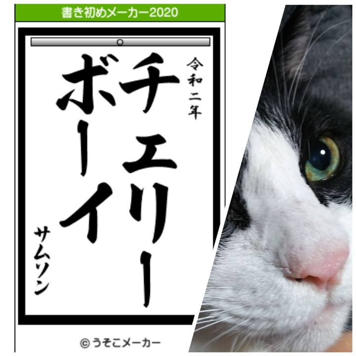 A3a34561 a1b7 415a a8ce 805a889d3351 1577922001806