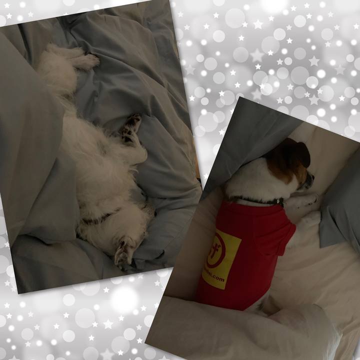 A3a34da7 d8ad 4c48 9f91 83a67932d426 1558277031464