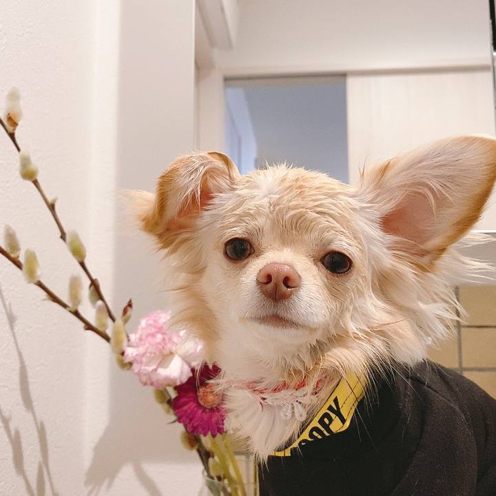 A3a3c742 d774 4617 90b7 b4ae3c1315b2 1614581652729