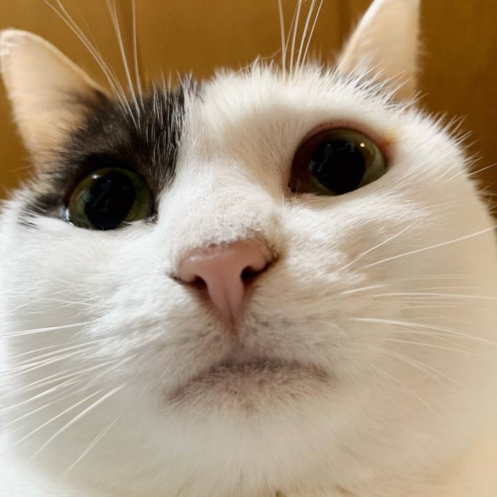 A3a3e0e9 7e67 4ce8 9a60 106c9ecec8a2 1541813409377