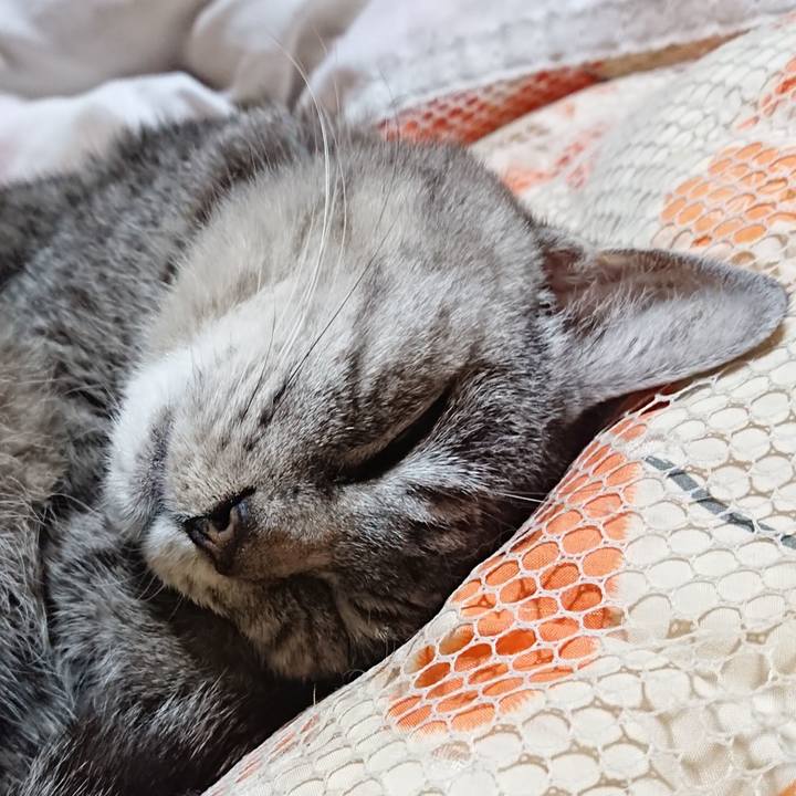 A3a3f019 5ef2 46cf abd2 52c207539e24 1571836857041