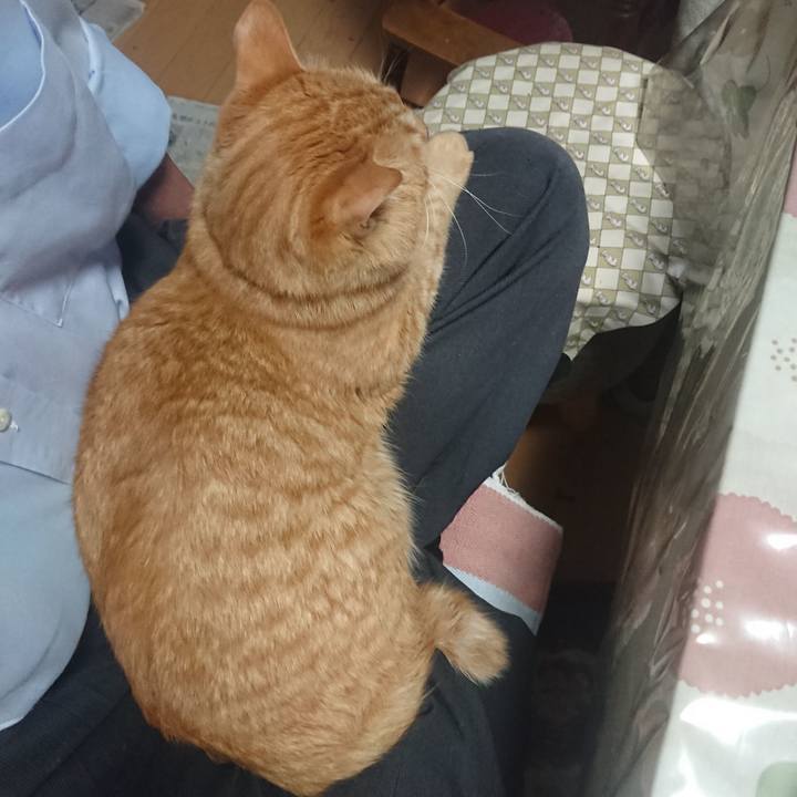 A3a42b91 a012 4900 92c4 9e6324bb1572 1651322679117