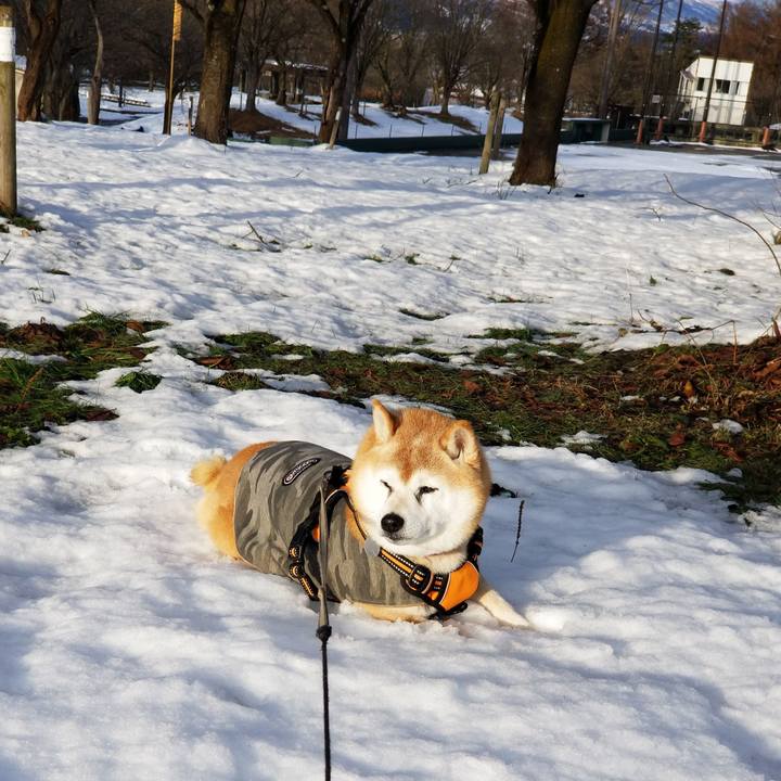 A3a44502 ca7e 4303 a085 9fdea1c31886 1734416358940