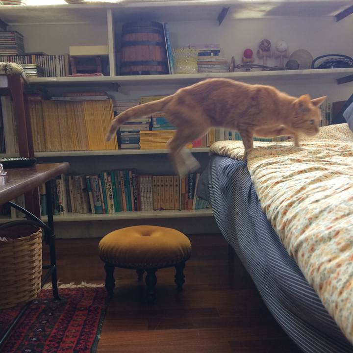 A3a44c1e 61f6 4c12 ac17 19720ff1a4b3 1537989280801