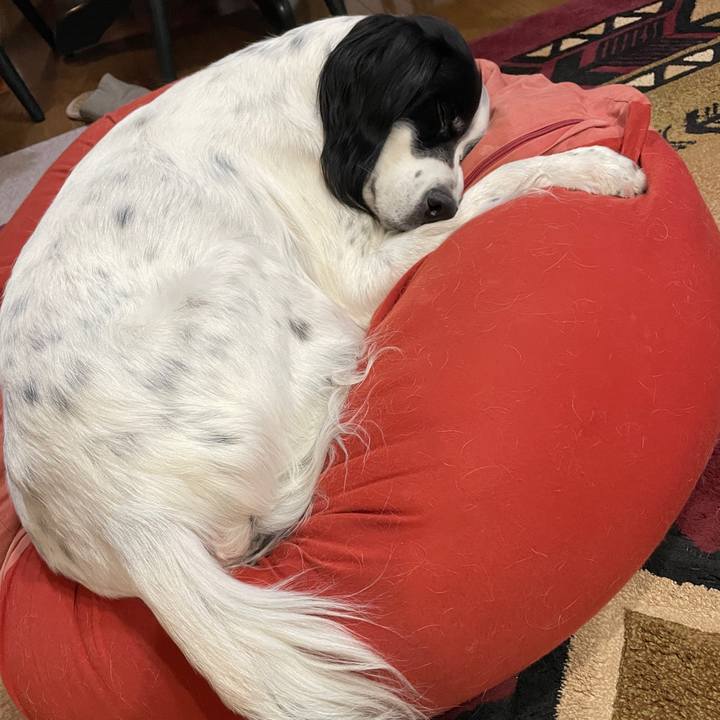 A3a45d4c d595 478a 9af5 800d9b6fb9c4 1760959535682