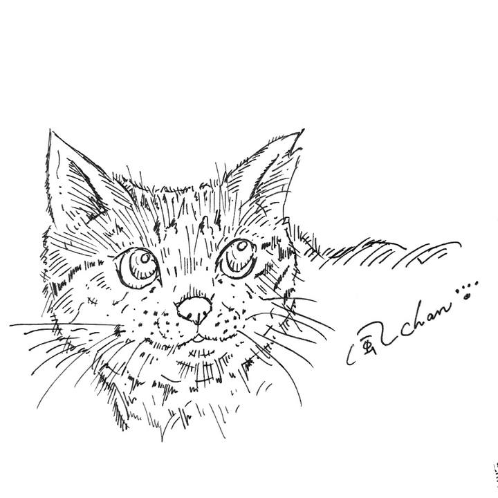 A3a46f82 0232 46fa afb0 5ff52420cac6 1581692446495