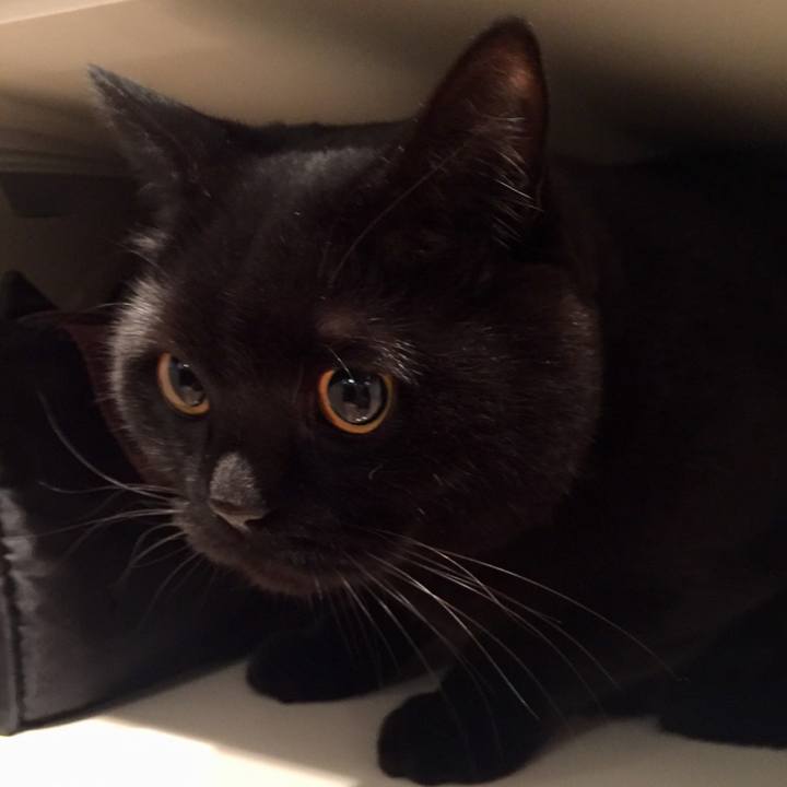 A3a4a6d6 758b 400e b3fa 7648be1629be 1577361257437