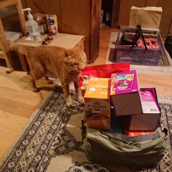 A3a4fcf6 7aa8 4cb5 9220 9df439189649 1647426226538