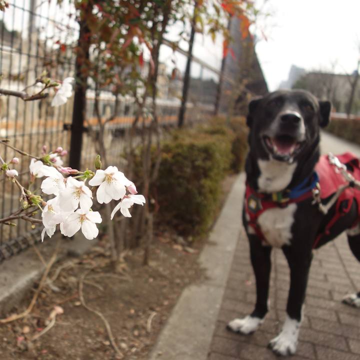 A3a51293 fb1f 4a79 898d 8977d9ae5cc0 1679012760449