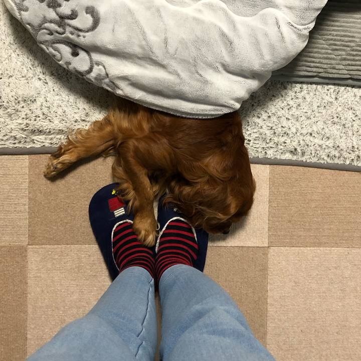 A3a51ba4 efee 4d9a b36e 40585bfff012 1642977005278