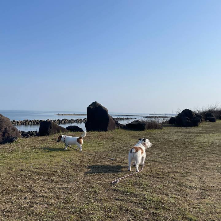 A3a5292d e7e8 4154 b02a 5f4464ea53a1 1713049435469