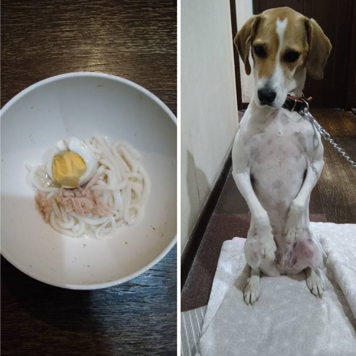 A3a53bcf abda 4ec6 8954 8a59048ba1d5 1632913313641