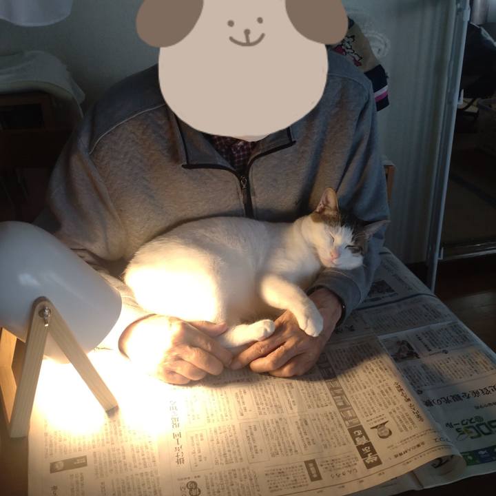 A3a54c0b ef25 43a3 bab6 8f122c8b3fd5 1714523162923