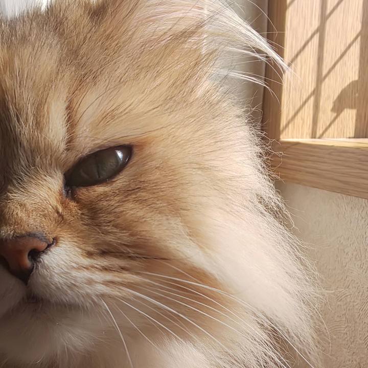 A3a54c0c 0188 4636 91c6 6d72f070b488 1618189174547