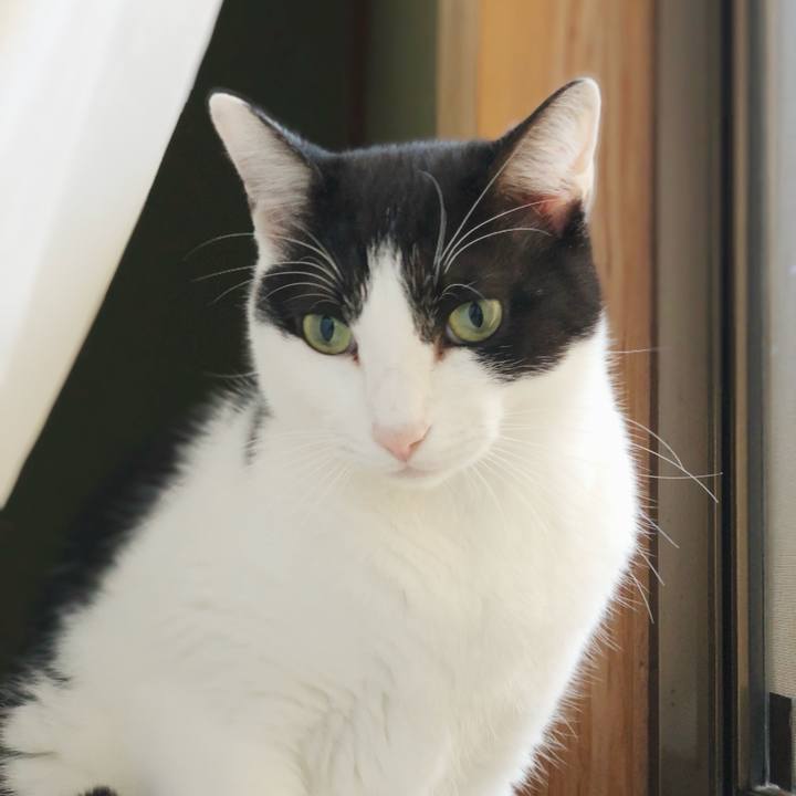 A3a566f7 fd18 4b40 b061 920206c6cb4a 1542247265601