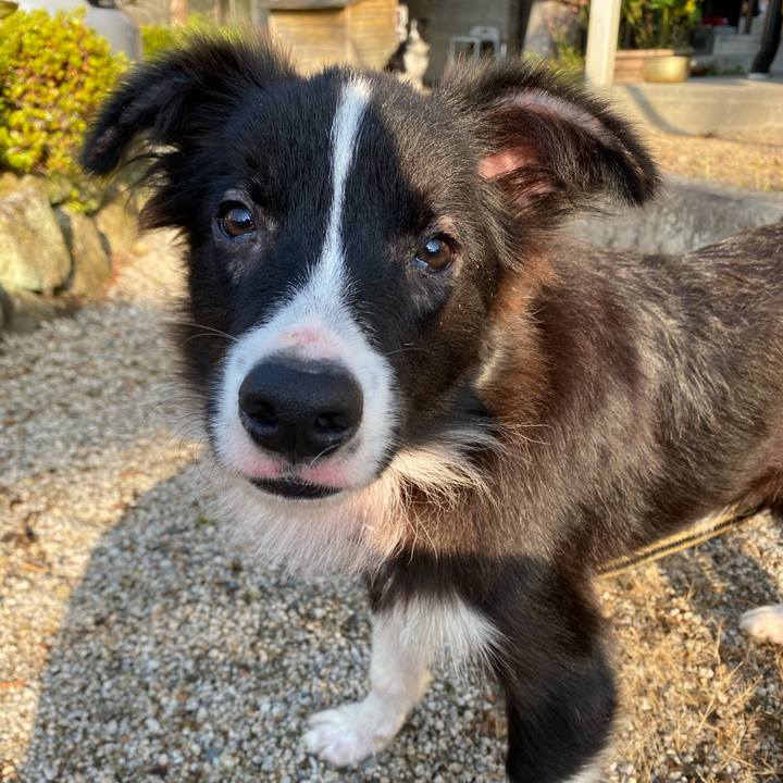 A3a57262 0227 47fe a4c0 cf09fe56b705 1636934190428