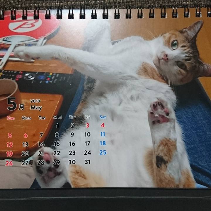 A3a5a827 514a 47aa a8ec 0f8b3e13feb9 1557838297599