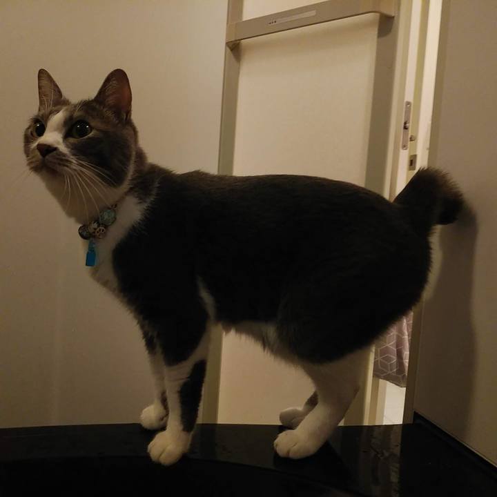 A3a5bc15 07fd 4bb8 975f 7b49680ba94e 1669364461848